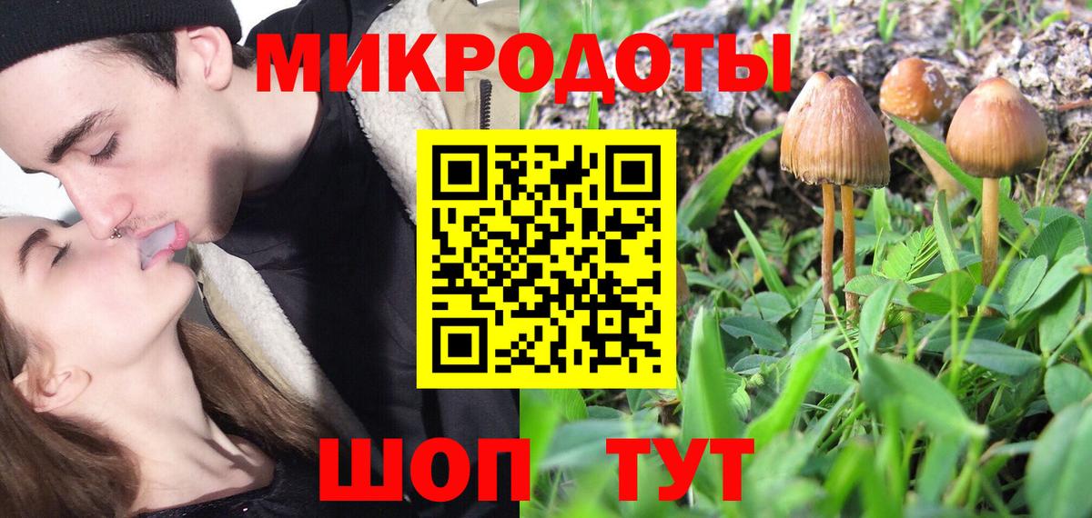 Богородск  Псилоцибиновые грибы MAGIC MUSHROOMS  Псилоцибиновые грибы Psilocybine cubensis  Вход с VPN 